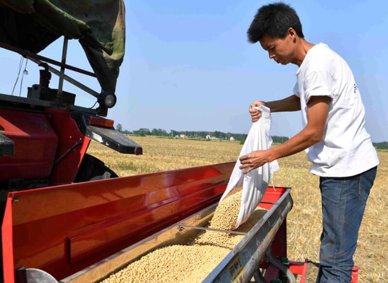 Nation plans dramatic increase in soybean, oil crop production