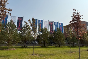 a successful Exhibition